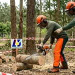 Curso Operador de Motosserra Mogi Guaçu